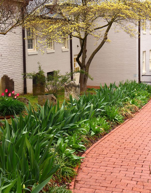 Brick Pathway Repair