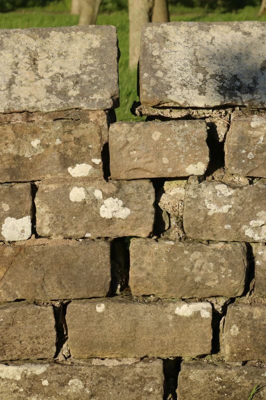 Stone Wall Repair in Daytona Beach, FL